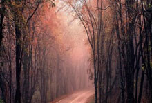 摩洛哥足球运动员技术惊人，绝技无限