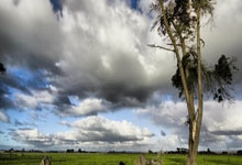 纽卡斯尔主场大胜，保级希望再现曙光