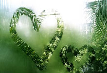 巅峰之上：运动员技艺与毅力的光辉赞歌