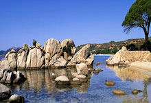 热闹的篮球赛事吸引无数观众